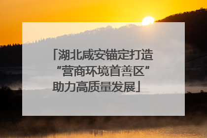 湖北咸安锚定打造“营商环境首善区”助力高质量发展