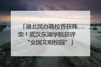 湖北民办高校首获殊荣！武汉东湖学院获评“全国文明校园”