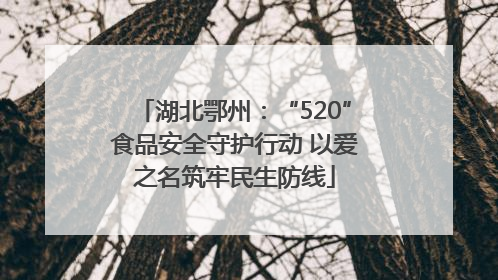 湖北鄂州：“520”食品安全守护行动 以爱之名筑牢民生防线