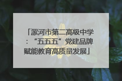 漯河市第二高级中学：“五五五”党建品牌赋能教育高质量发展