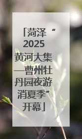 菏泽“2025黄河大集—曹州牡丹园夜游消夏季”开幕