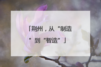 荆州，从“制造”到“智造”