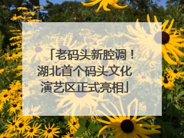 老码头新腔调！湖北首个码头文化演艺区正式亮相
