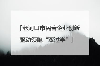 老河口市民营企业创新驱动领跑“双过半”