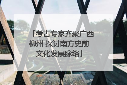 考古专家齐聚广西柳州 探讨南方史前文化发展脉络