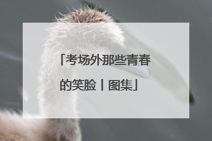 考场外那些青春的笑脸丨图集