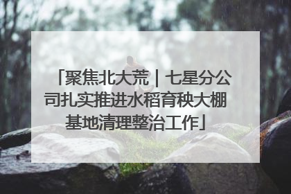 聚焦北大荒｜七星分公司扎实推进水稻育秧大棚基地清理整治工作