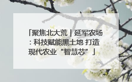 聚焦北大荒｜延军农场：科技赋能黑土地 打造现代农业“智慧芯”