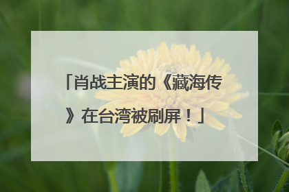 肖战主演的《藏海传》在台湾被刷屏！