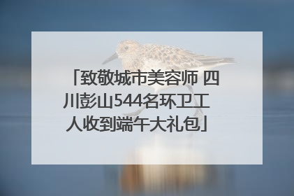 致敬城市美容师 四川彭山544名环卫工人收到端午大礼包
