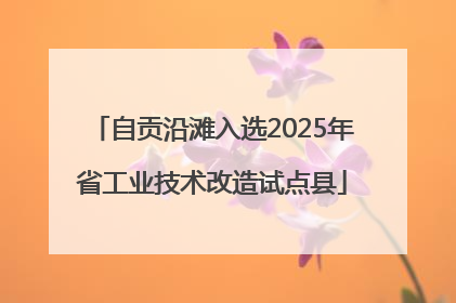 自贡沿滩入选2025年省工业技术改造试点县