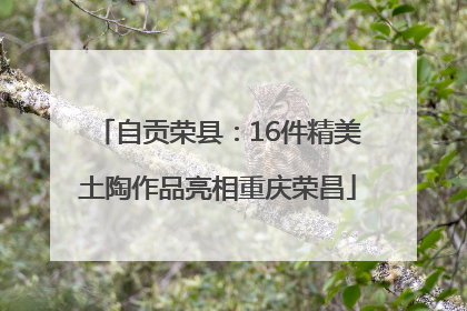 自贡荣县：16件精美土陶作品亮相重庆荣昌