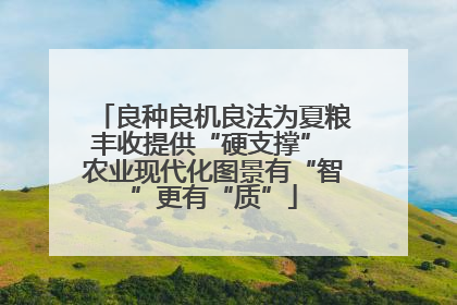良种良机良法为夏粮丰收提供“硬支撑” 农业现代化图景有“智”更有“质”