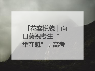 花容悦貌｜向日葵祝考生“一举夺魁”，高考带动鲜花热潮