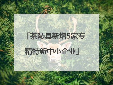 茶陵县新增5家专精特新中小企业