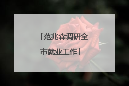 范兆森调研全市就业工作