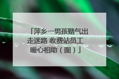 萍乡一男孩赌气出走迷路 收费站员工暖心相助（图）