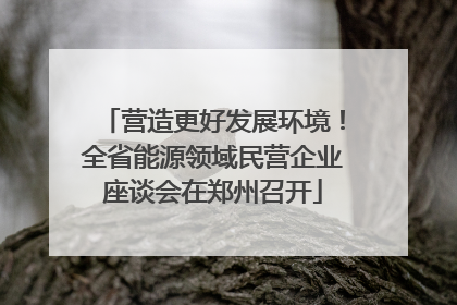 营造更好发展环境！全省能源领域民营企业座谈会在郑州召开