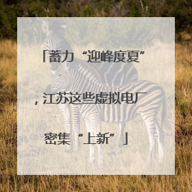 蓄力“迎峰度夏”，江苏这些虚拟电厂密集“上新”