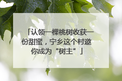 认领一棵桃树收获一份甜蜜，宁乡这个村邀你成为“树主”