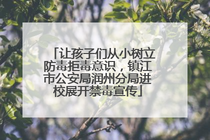 让孩子们从小树立防毒拒毒意识，镇江市公安局润州分局进校展开禁毒宣传