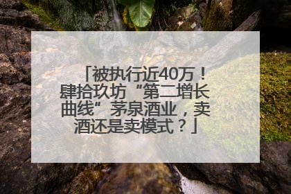 被执行近40万！肆拾玖坊“第二增长曲线”茅泉酒业，卖酒还是卖模式？