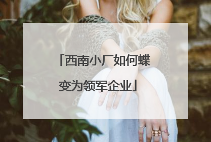 西南小厂如何蝶变为领军企业