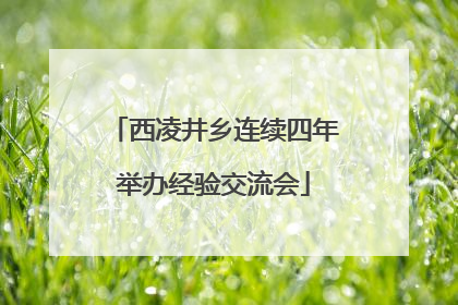 西凌井乡连续四年举办经验交流会