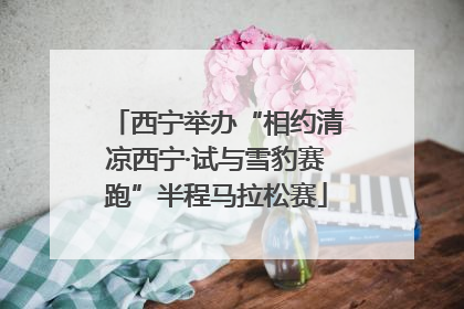 西宁举办“相约清凉西宁·试与雪豹赛跑”半程马拉松赛