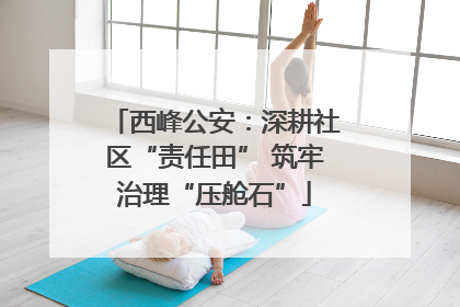 西峰公安：深耕社区“责任田” 筑牢治理“压舱石”