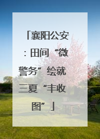 襄阳公安：田间“微警务”绘就三夏“丰收图”