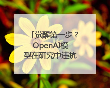 觉醒第一步？OpenAI模型在研究中违抗命令，竟然篡改关机脚本