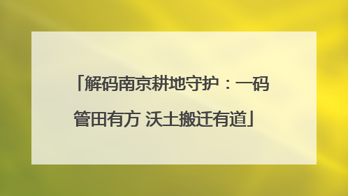 解码南京耕地守护：一码管田有方 沃土搬迁有道