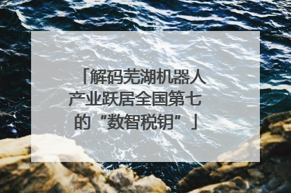 解码芜湖机器人产业跃居全国第七的“数智税钥”
