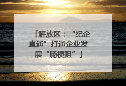 解放区：“纪企直通”打通企业发展“肠梗阻”