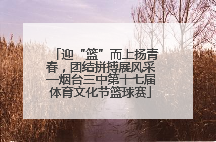 迎“篮”而上扬青春，团结拼搏展风采—烟台三中第十七届体育文化节篮球赛