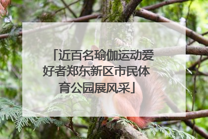 近百名瑜伽运动爱好者郑东新区市民体育公园展风采
