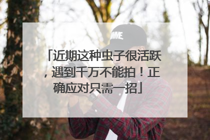近期这种虫子很活跃，遇到千万不能拍！正确应对只需一招