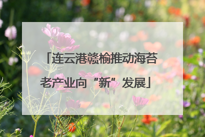 连云港赣榆推动海苔老产业向“新”发展
