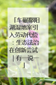 车碾鄱阳湖湿地案引入劳动代偿：生态法治在创新尝试｜有一说一