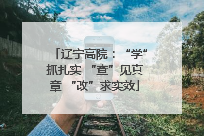 辽宁高院：“学”抓扎实 “查”见真章 “改”求实效