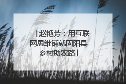 赵艳芳：用互联网思维铺就固阳县乡村助农路