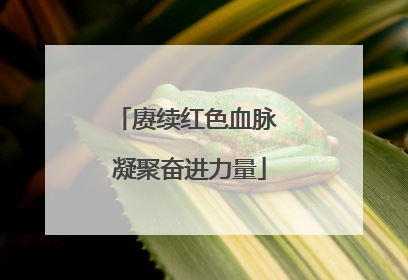 赓续红色血脉 凝聚奋进力量