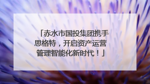 赤水市国投集团携手思格特，开启资产运营管理智能化新时代！