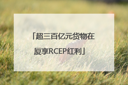 超三百亿元货物在厦享RCEP红利