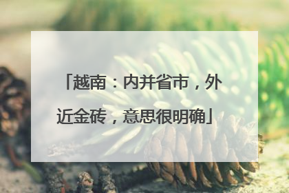 越南：内并省市，外近金砖，意思很明确