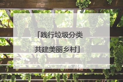 践行垃圾分类 共建美丽乡村