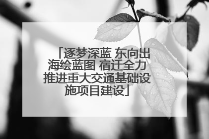 逐梦深蓝 东向出海绘蓝图 宿迁全力推进重大交通基础设施项目建设