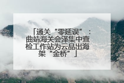 通关“零延误”：曲靖海关会泽集中查检工作站为云品出海架“金桥”