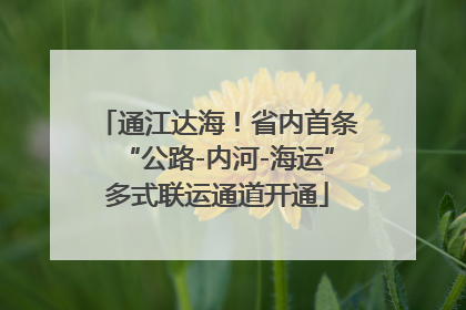 通江达海！省内首条“公路-内河-海运”多式联运通道开通